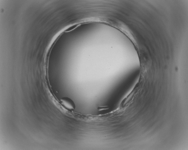 X0000081421148200701261547