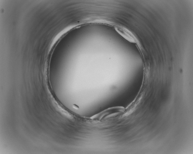 X0000081421149200701261547