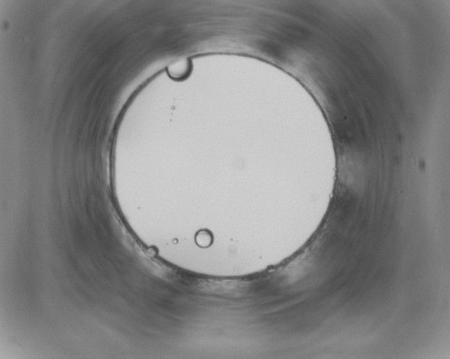 X0000081421150200701261547