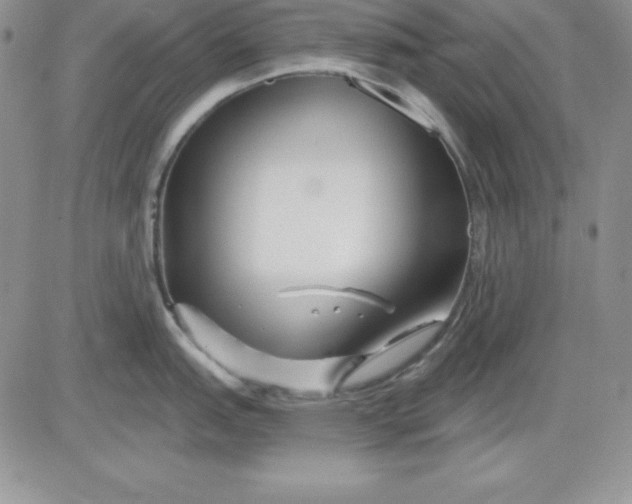 X0000081421151200701261547