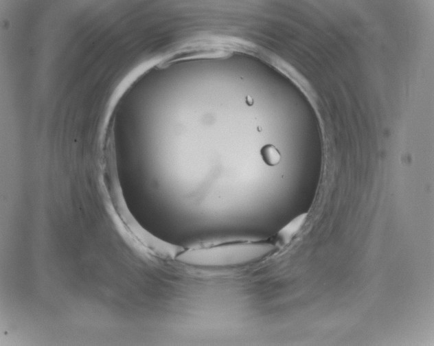 X0000081421152200701261547