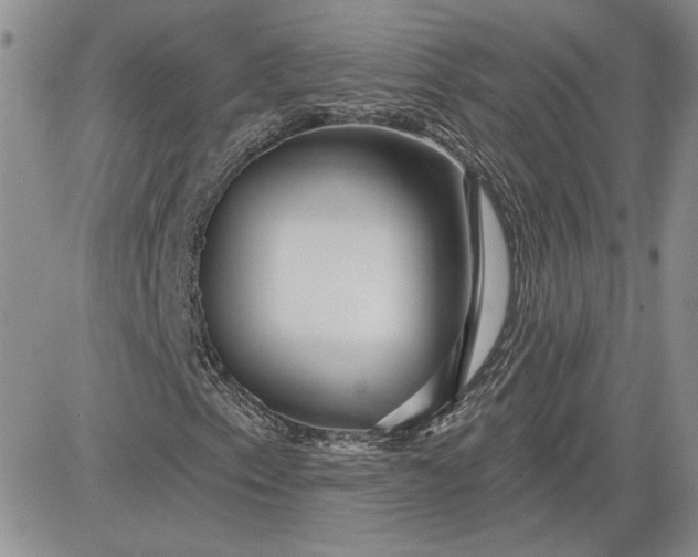 X0000081421153200701261547