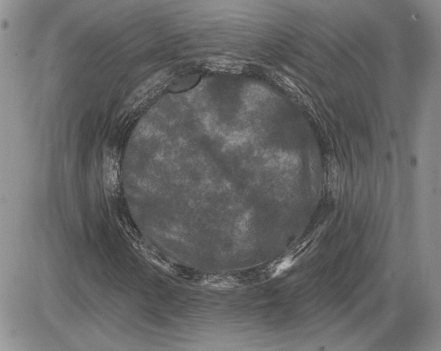 X0000081421154200701261547