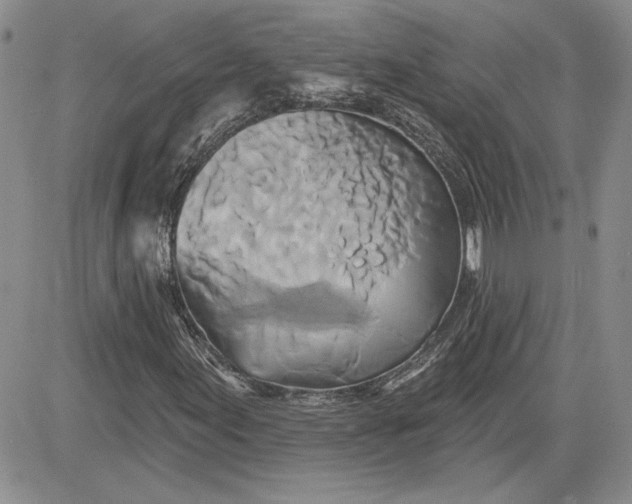 X0000081421155200701261547