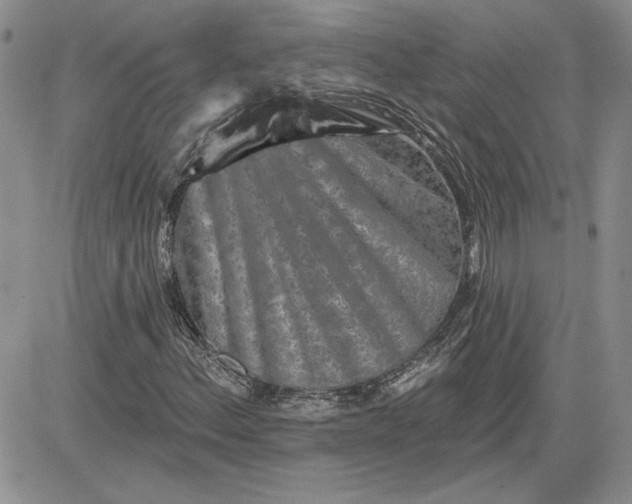 X0000081421156200701261547