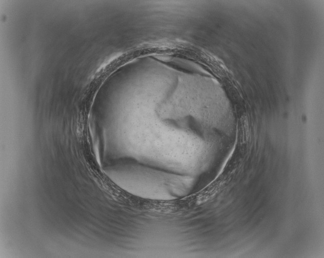 X0000081421158200701261546