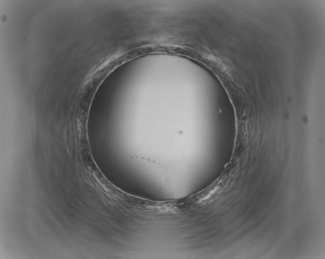 X0000081421159200701261546