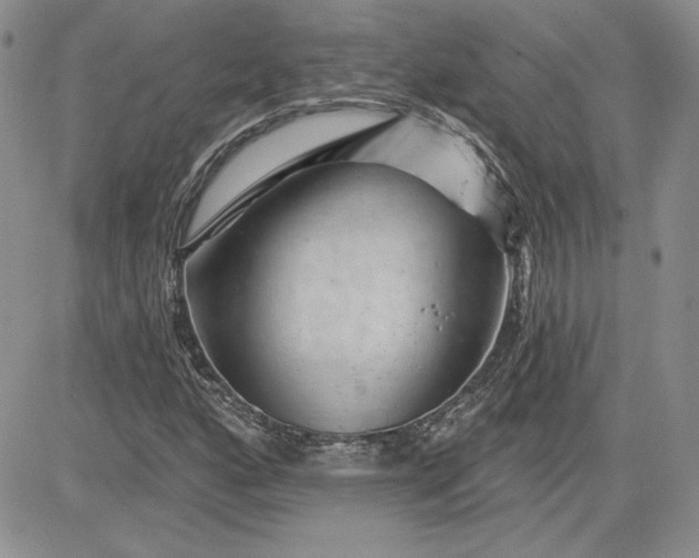 X0000081421160200701261546