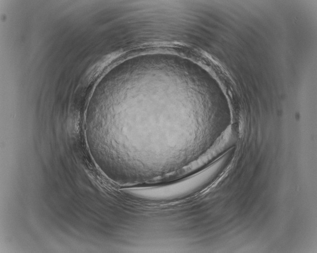 X0000081421161200701261546