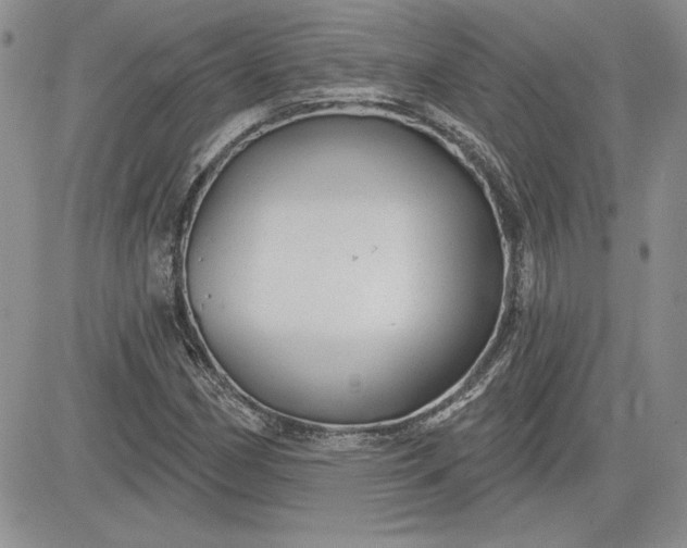 X0000081421162200701261546