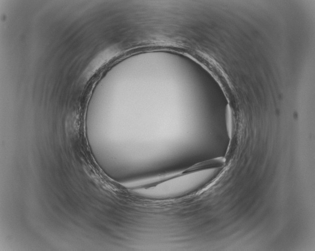 X0000081421163200701261546