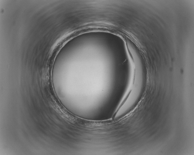 X0000081421164200701261546