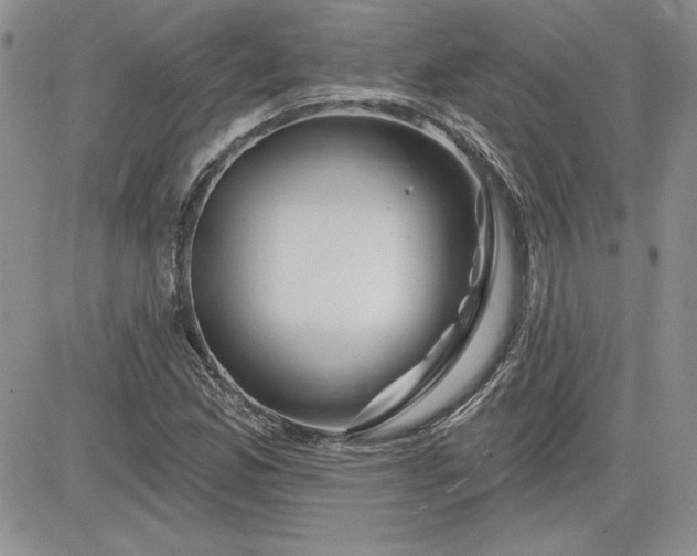 X0000081421165200701261546