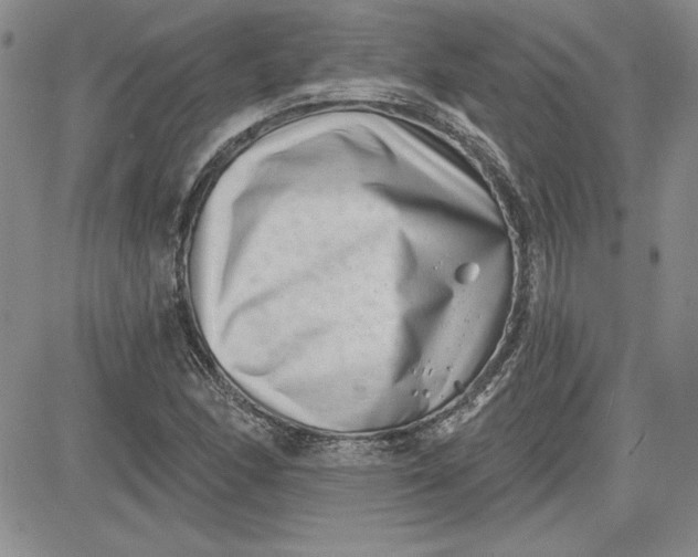 X0000081421166200701261546