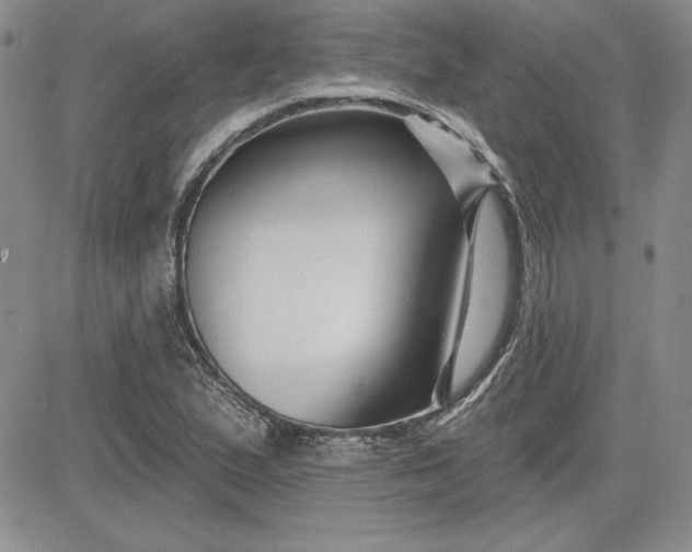 X0000081421167200701261546