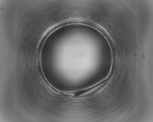 X0000081421168200701261546