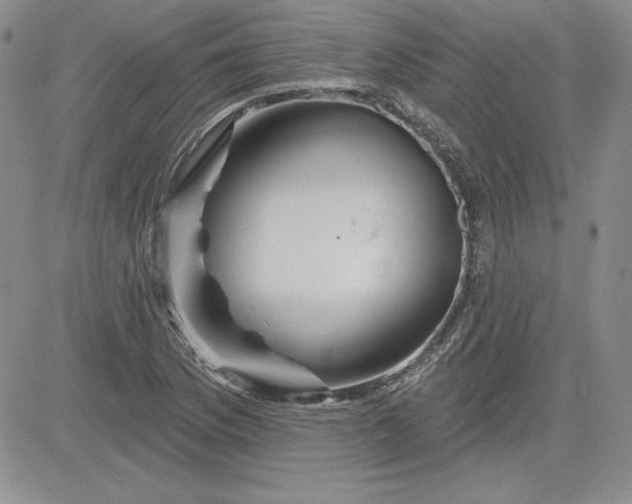 X0000081421169200701261546