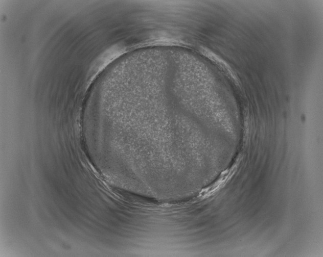 X0000081421170200701261546