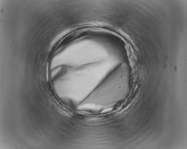 X0000081421171200701261546