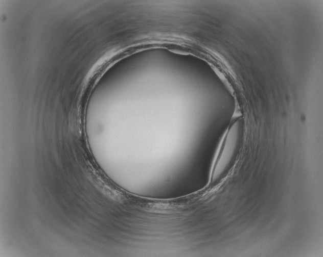 X0000081421172200701261546