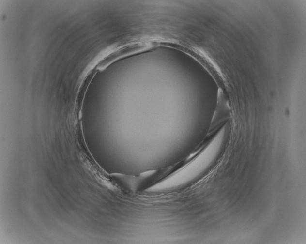 X0000081421173200701261546