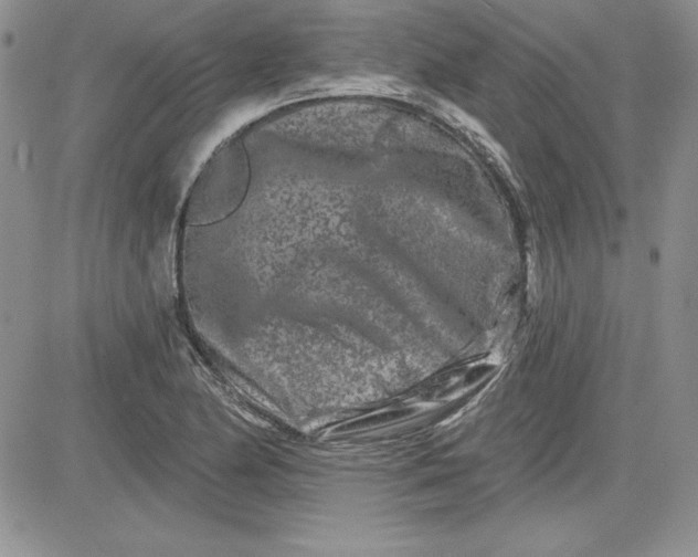 X0000081421174200701261546