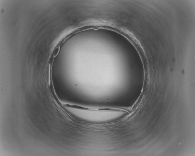 X0000081421175200701261546