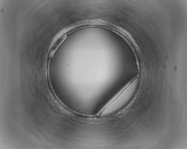 X0000081421176200701261546