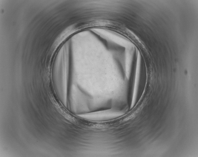 X0000081421178200701261546