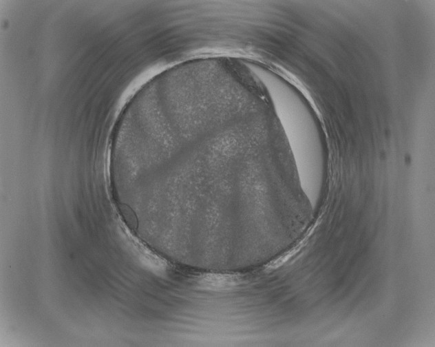 X0000081421179200701261546