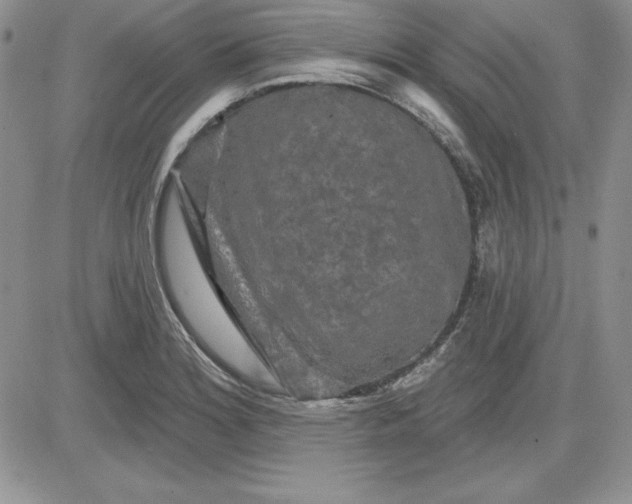 X0000081421180200701261546