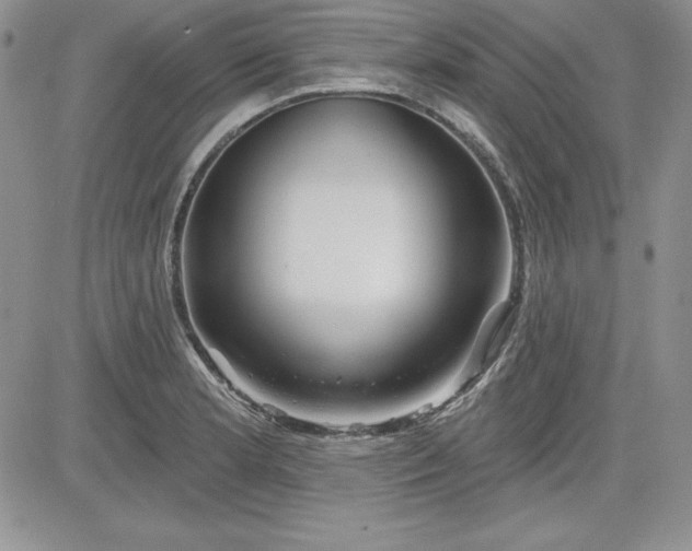 X0000081421181200701261546