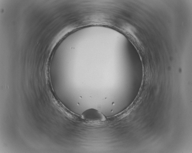 X0000081421182200701261546