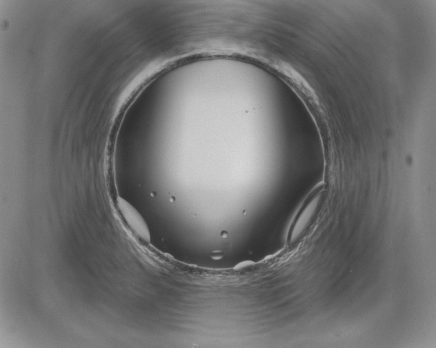 X0000081421183200701261546