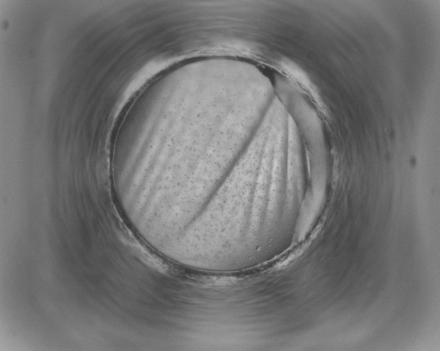 X0000081421184200701261546