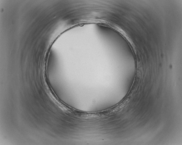 X0000081421187200701261546