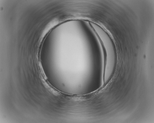 X0000081421189200701261546