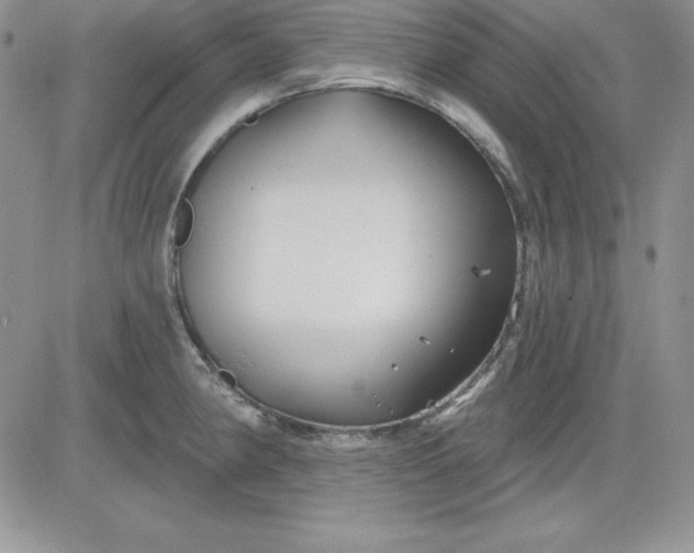 X0000081421190200701261546