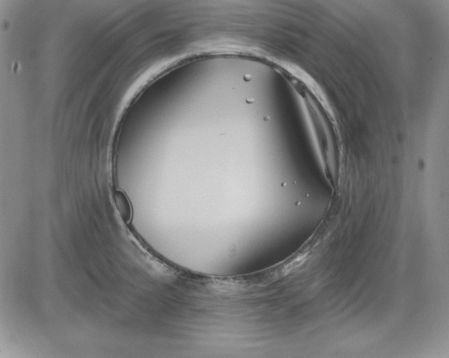 X0000081421191200701261546