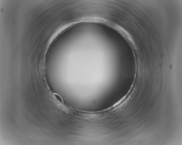 X0000081421192200701261546