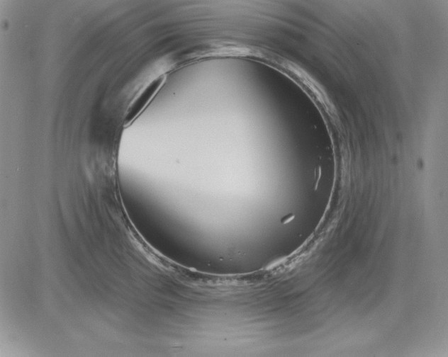 X0000081421193200701261546