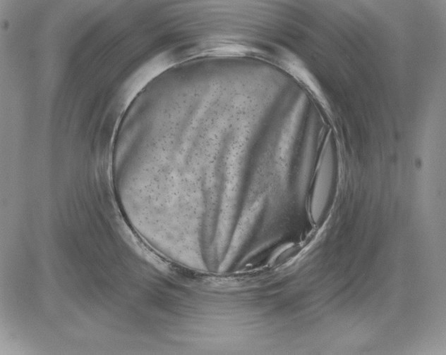 X0000081421194200701261546