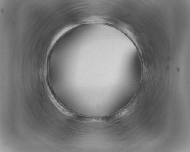 X0000081421195200701261546