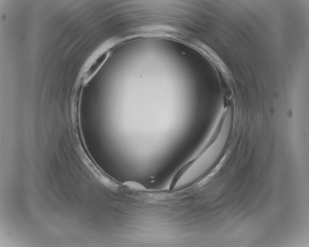 X0000081421196200701261546