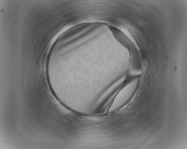 X0000081421197200701261546