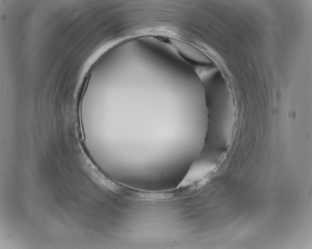 X0000081421200200701261546