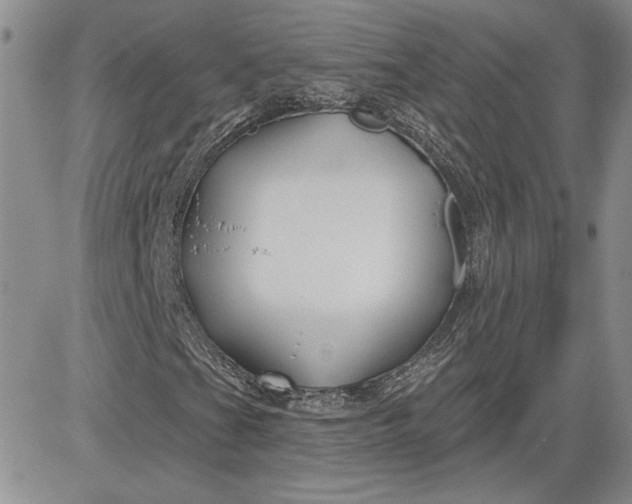 X0000081421201200701261545