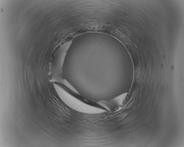 X0000081421202200701261545