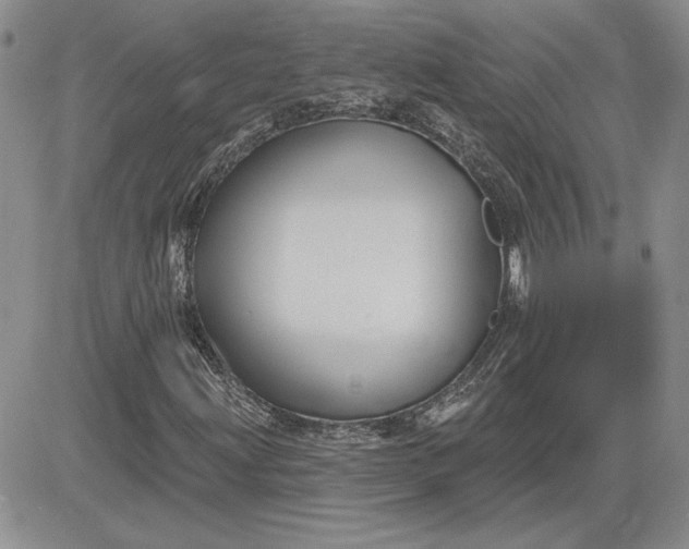 X0000081421203200701261545