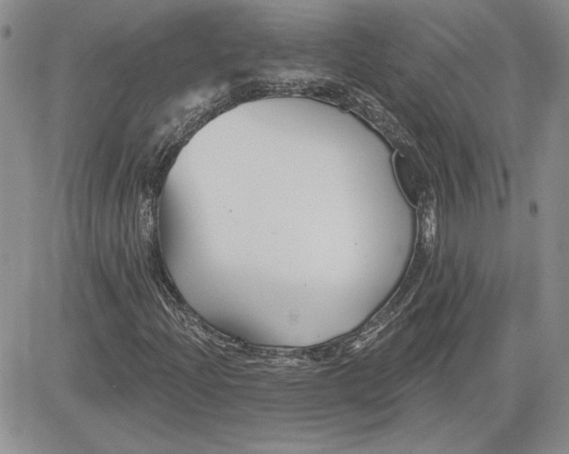 X0000081421204200701261545